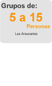 s1